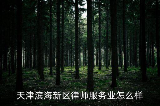 天津濱海新區律師服務業怎么樣