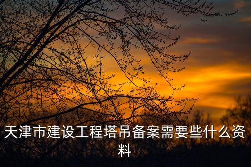 天津市吊籃產權備案，天津市建設工程塔吊備案需要些什么資料
