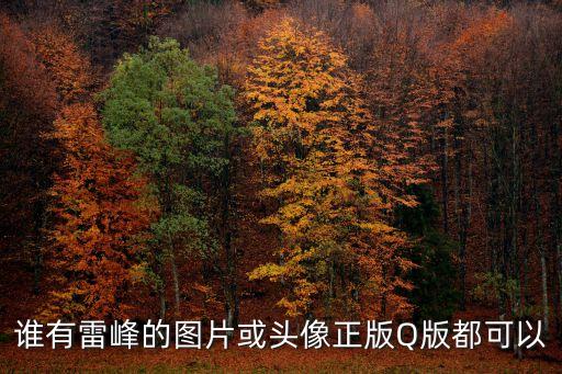 誰有雷峰的圖片或頭像正版Q版都可以