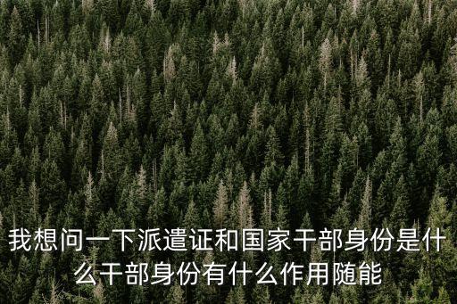 我想問一下派遣證和國(guó)家干部身份是什么干部身份有什么作用隨能