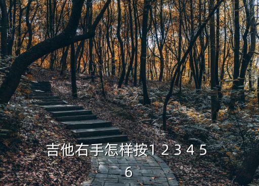吉他右手怎樣按1 2 3 4 5 6