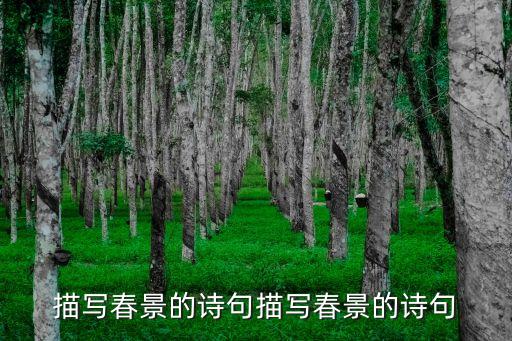 春景的詩句，寫春天的詩句有哪些