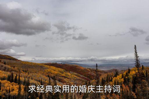 求經典實用的婚慶主持詞