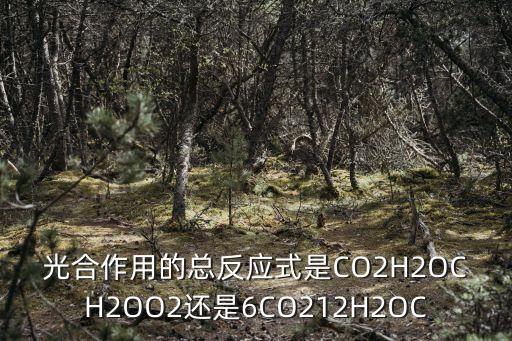 光合作用的總反應(yīng)式是CO2H2OCH2OO2還是6CO212H2OC