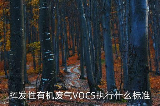 揮發性有機廢氣VOCS執行什么標準