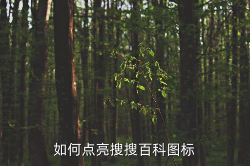 如何點(diǎn)亮搜搜百科圖標(biāo)