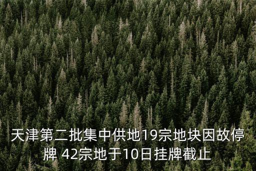 天津市津南區2019年土地出讓情況，津南區規劃