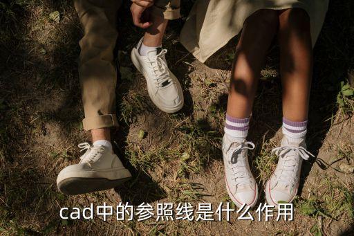 cad中的參照線是什么作用