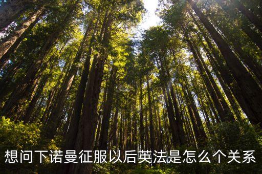 想問(wèn)下諾曼征服以后英法是怎么個(gè)關(guān)系