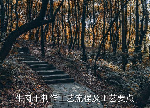 牛肉干怎么做，風干牛肉干是怎么制作的
