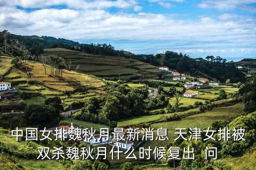 中國女排魏秋月最新消息 天津女排被雙殺魏秋月什么時候復出  問