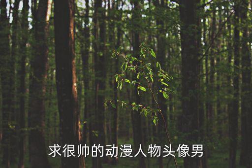 求很帥的動漫人物頭像男