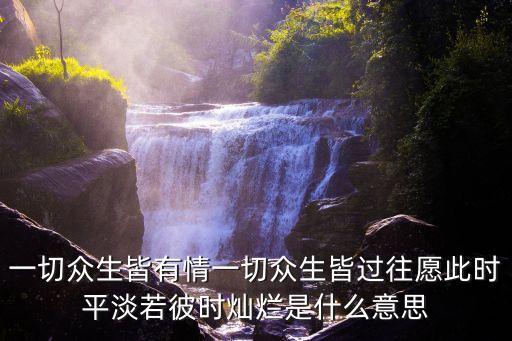一切眾生皆有情一切眾生皆過往愿此時平淡若彼時燦爛是什么意思