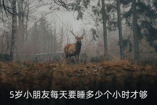 5歲，5歲小朋友每天要睡多少個小時才夠