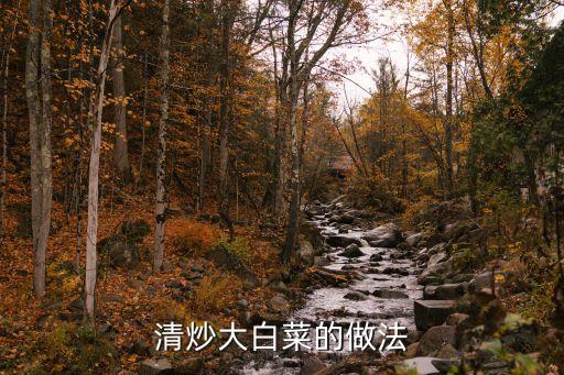 清炒大白菜的做法