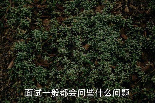 面試一般都會問些什么問題