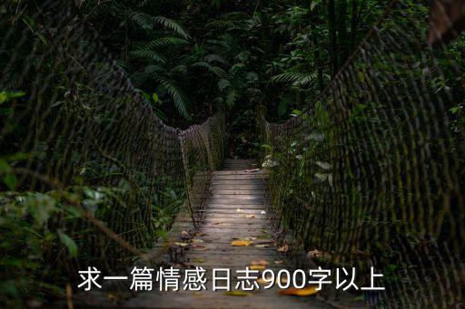 求一篇情感日志900字以上