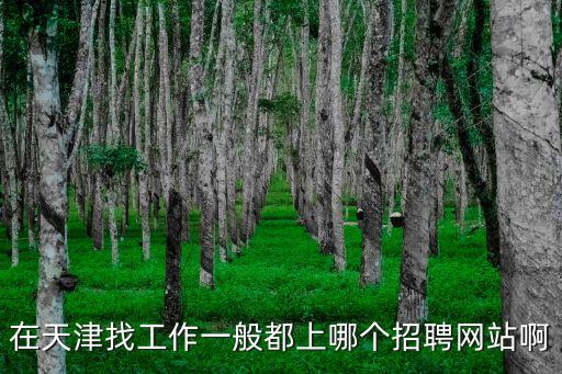 應屆生招聘網天津市，求天津地區比較好的招聘網站啊