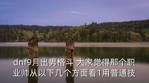 出男，dnf9月出男格斗 大家覺得那個職業帥從以下幾個方面看1用普通技