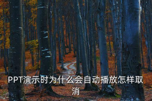 PPT演示時為什么會自動播放怎樣取消
