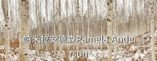 帕米拉安德森Pamela Anderson