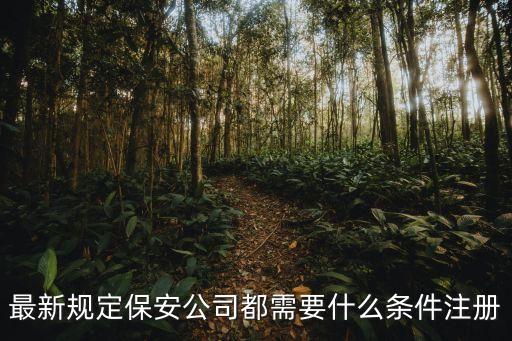 最新規(guī)定保安公司都需要什么條件注冊(cè)