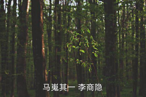 馬嵬二首，過馬嵬二首如何進行賞析