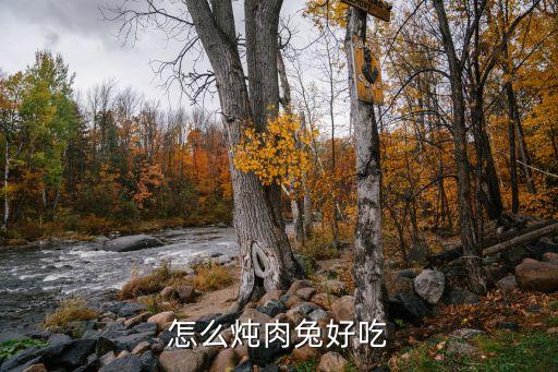 怎么燉肉兔好吃