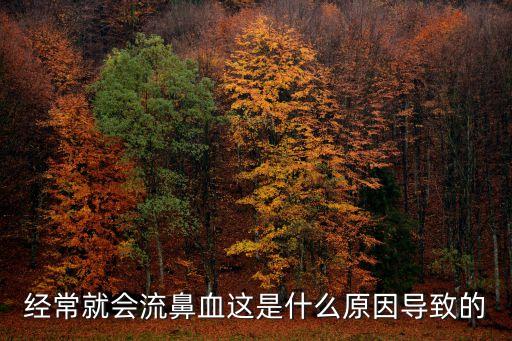 經常就會流鼻血這是什么原因導致的