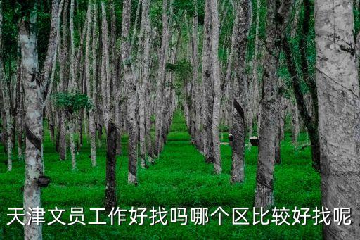 天津文員工作好找嗎哪個區比較好找呢