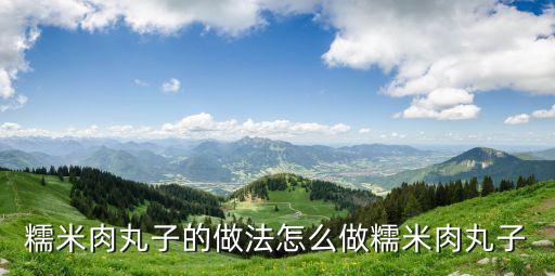 糯米肉丸子的做法怎么做糯米肉丸子