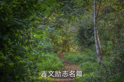 勵志文言文，勵志的文言文求原文求出處求翻譯  要求是歷史人物的小故