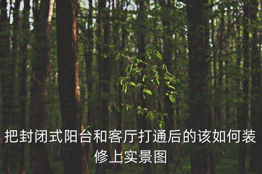 客廳陽(yáng)臺(tái)打通一體裝修效果圖，客廳和陽(yáng)臺(tái)打通怎樣裝修效果圖