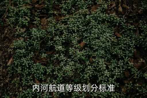 天津市內河通航，天津南運河會通航嗎