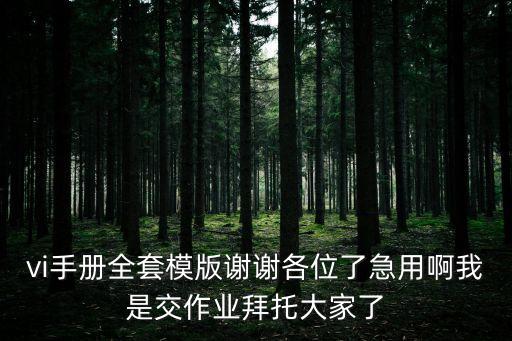 vi手冊(cè)全套模版謝謝各位了急用啊我是交作業(yè)拜托大家了
