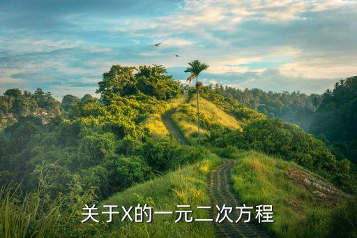 關(guān)于X的一元二次方程