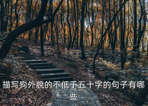 描寫狗外貌的不低于五十字的句子有哪些
