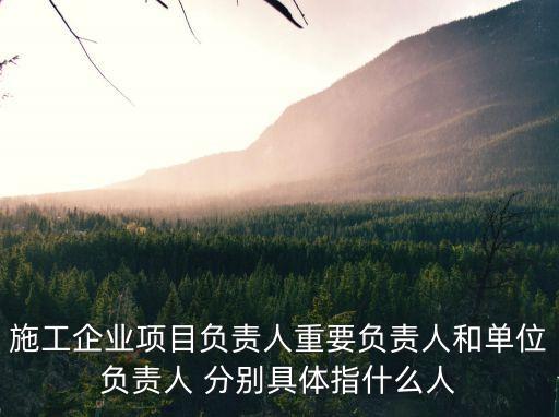 項目負責人，施工企業項目負責人重要負責人和單位負責人 分別具體指什么人