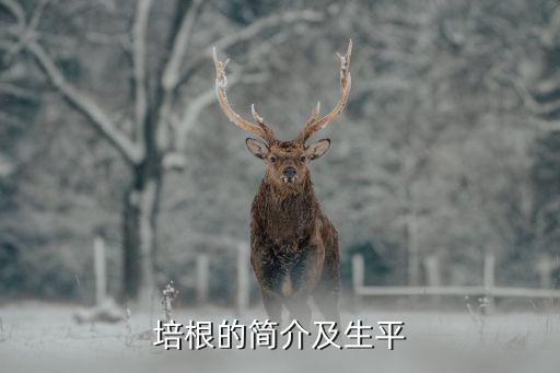 培根的簡(jiǎn)介及生平
