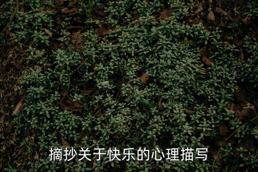 摘抄關(guān)于快樂的心理描寫