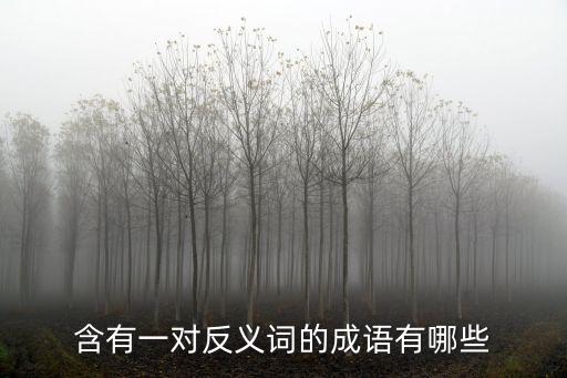 含有一對反義詞的成語有哪些