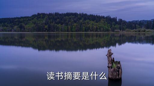 讀書摘要，讀書摘要是什么