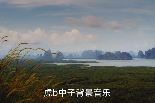 虎b中子背景音樂