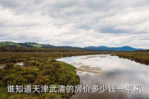 誰知道天津武清的房價多少錢一平米