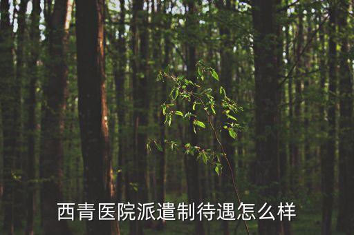 西青醫院派遣制待遇怎么樣