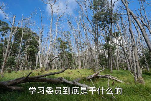 學習委員到底是干什么的