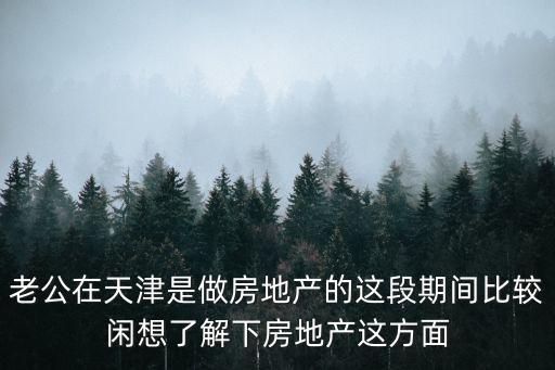 老公在天津是做房地產的這段期間比較閑想了解下房地產這方面