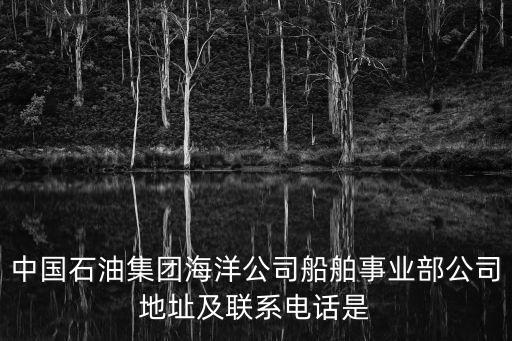 中國石油集團海洋公司船舶事業部公司地址及聯系電話是