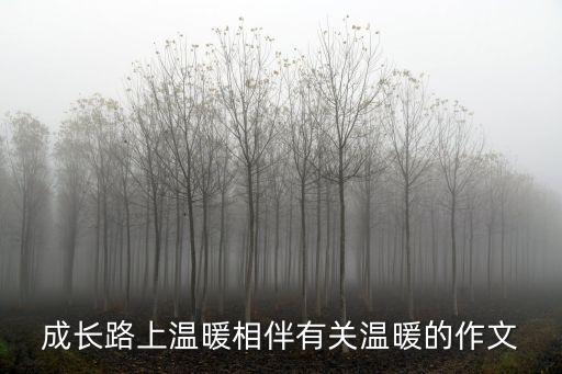成長路上溫暖相伴有關溫暖的作文