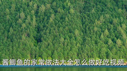 醬鯽魚的家常做法大全怎么做好吃視頻